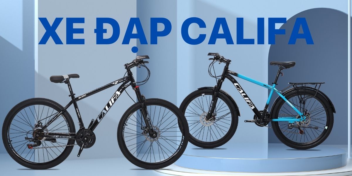 Top 10 loại xe đạp phổ biến hiện nay
