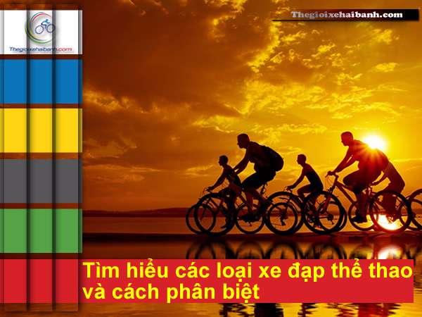 Càng xe đạp là gì? Phân loại và vai trò trong vận hành