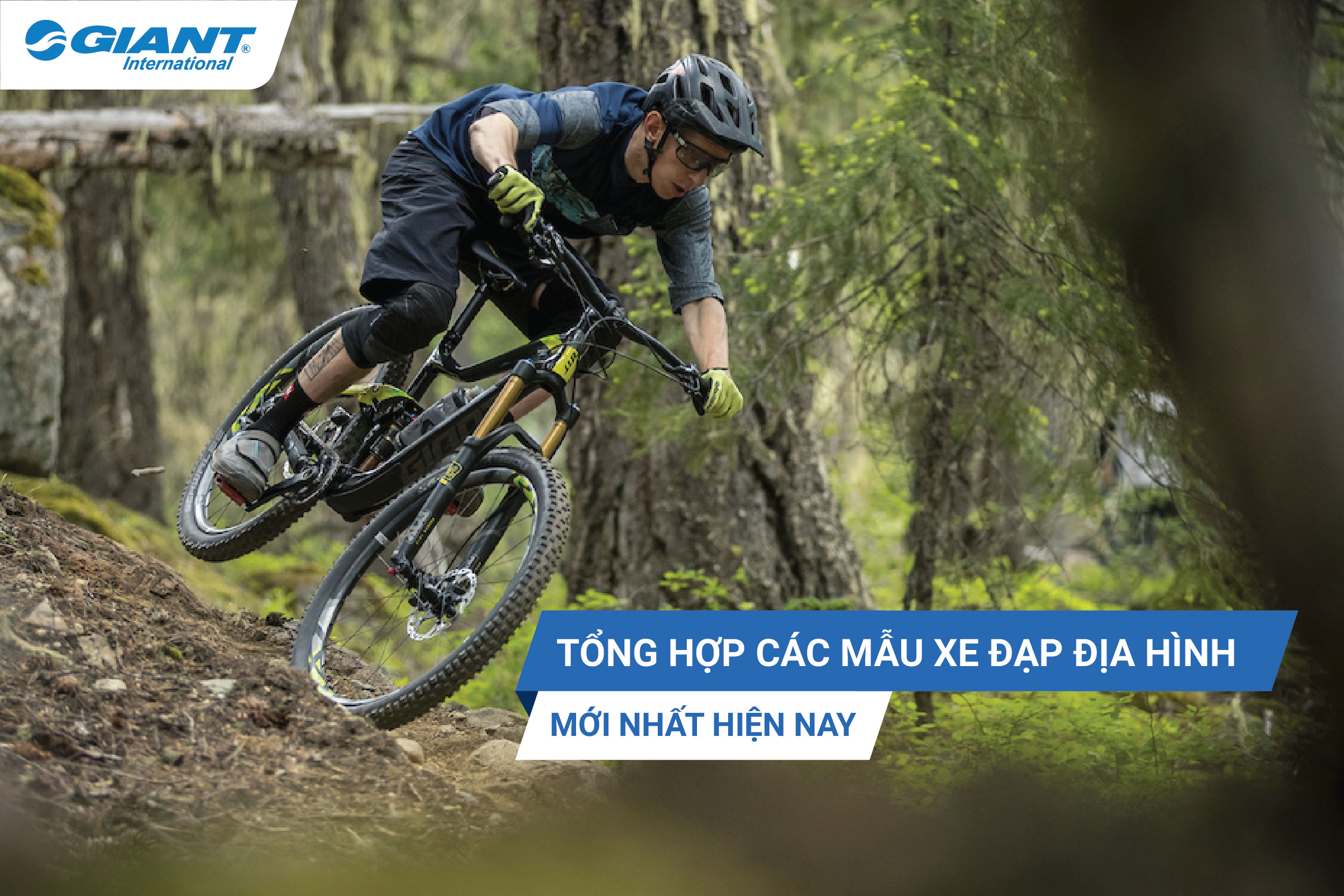 Các loại xe đạp địa hình bền và đẹp nhất 2026