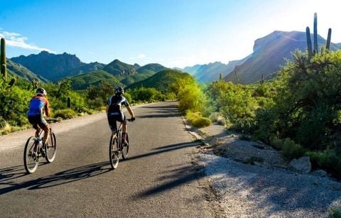 Xe đạp Road là gì? Ưu và nhược điểm của xe đạp road