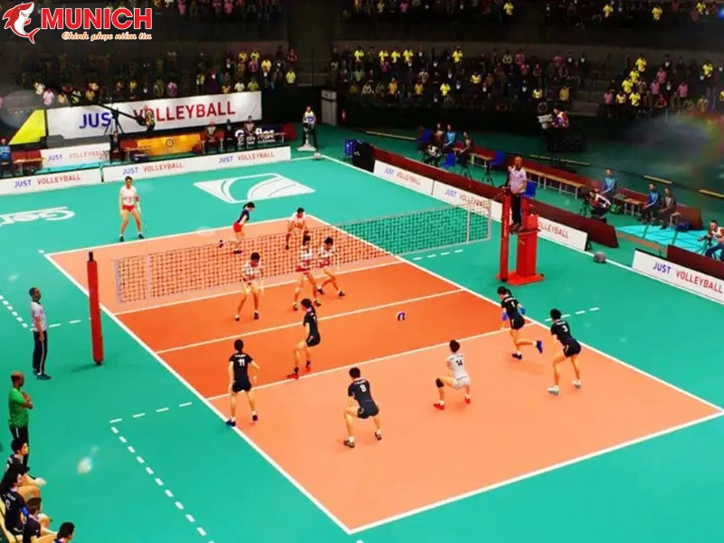 Lưới bóng chuyền nam cao bao nhiêu